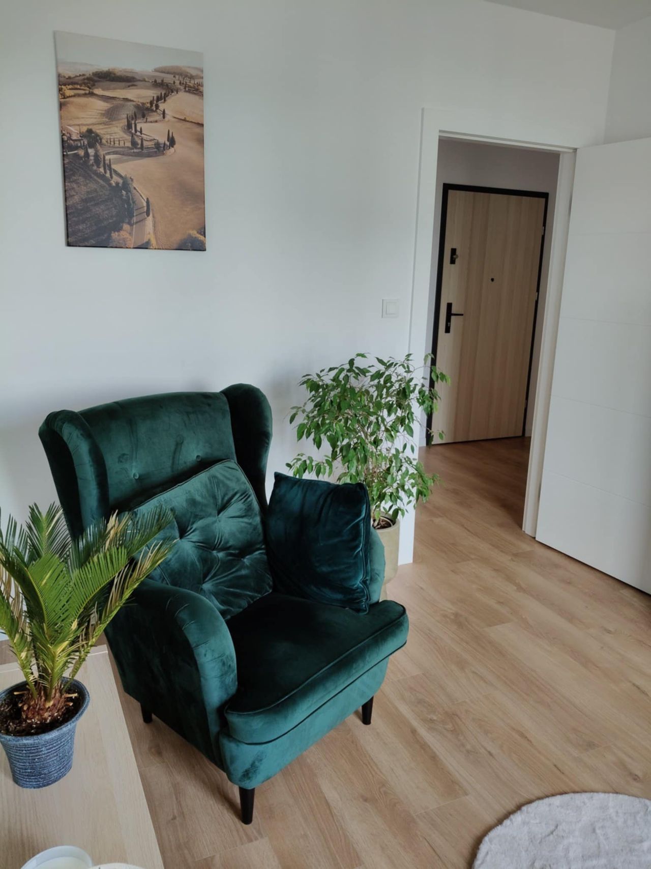 Dominika Broniewska-3