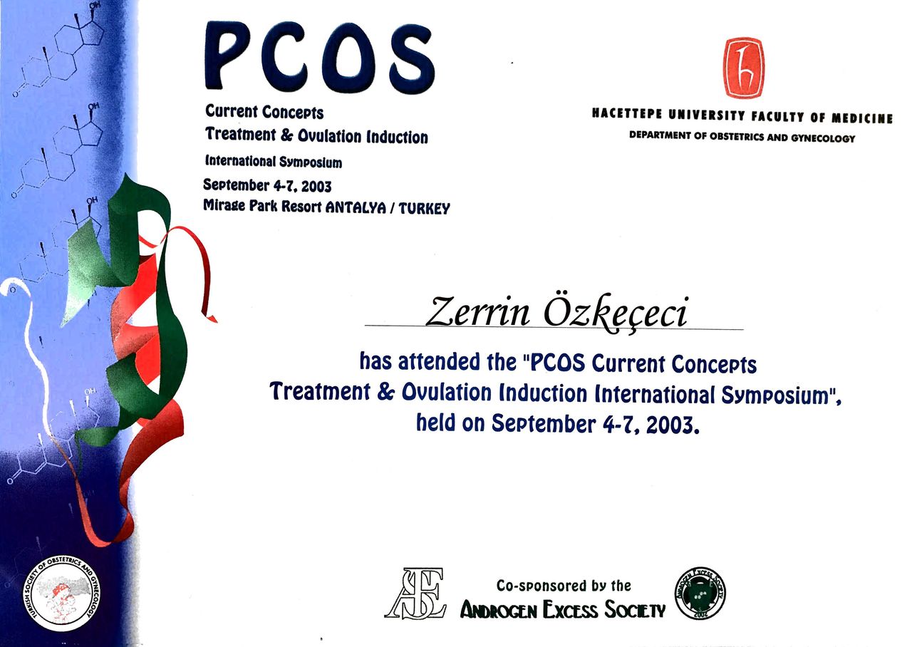 Zerrin Özkeçeci-19