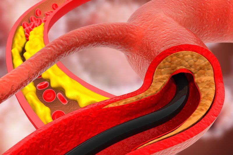 Kurt Johannes Schmieg-5