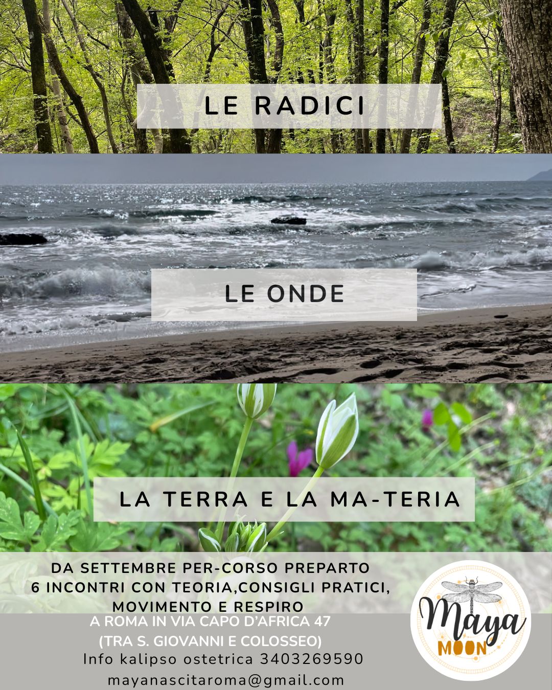 Kalipso Leyla Trevisiol-3