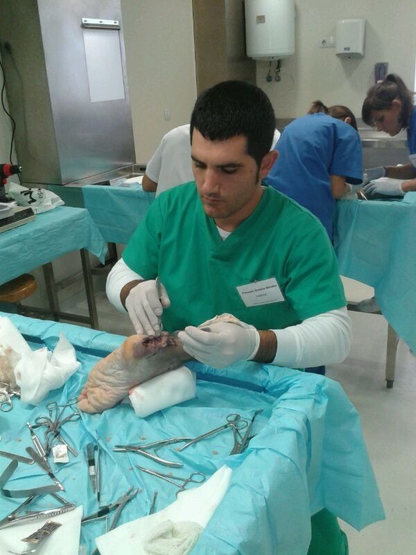 Francesc Soriano Morales-40