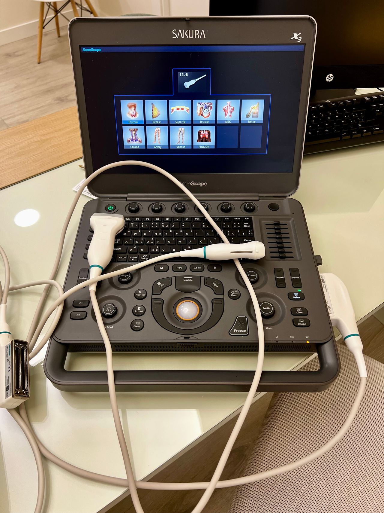 Ana Hernandez Voth-8