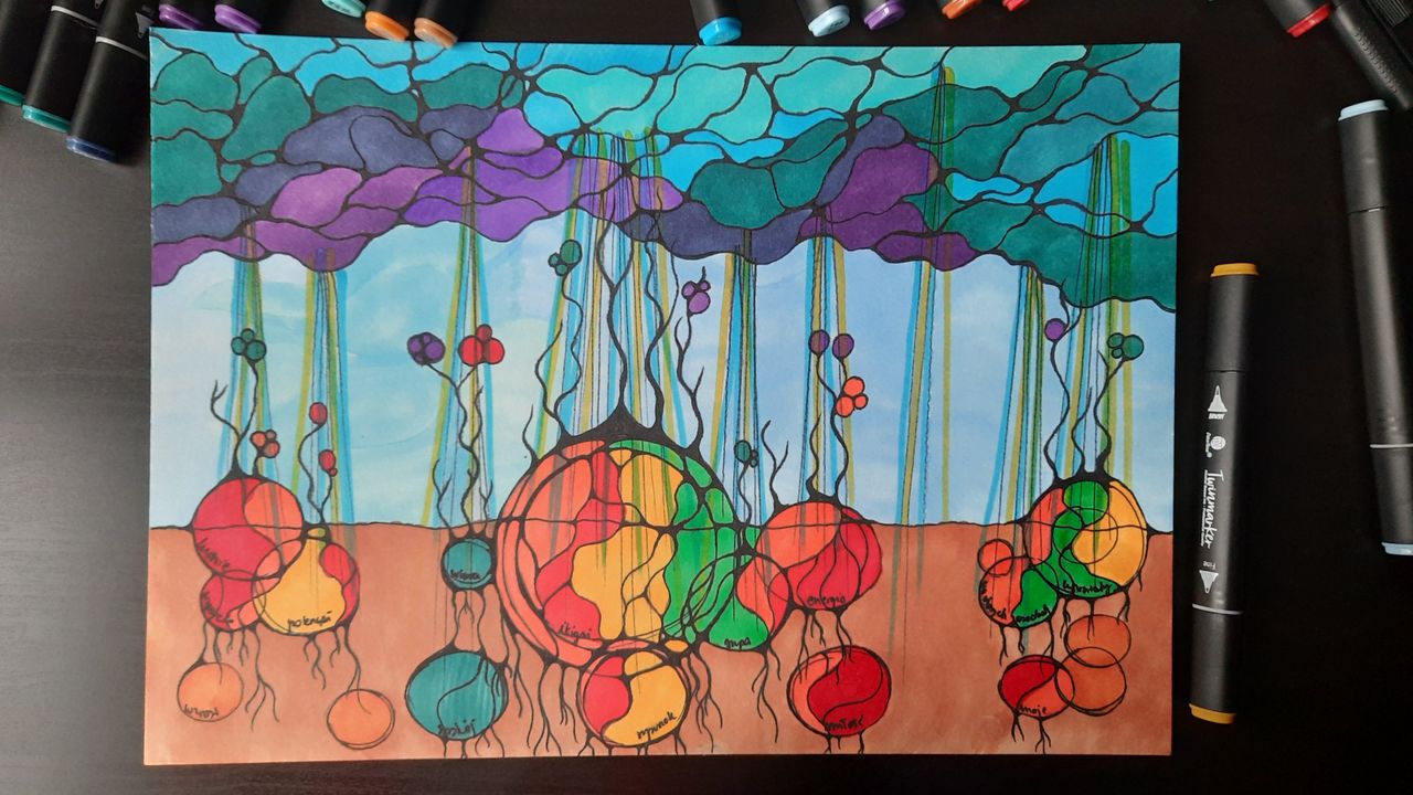 Jolanta Drążkowska-5