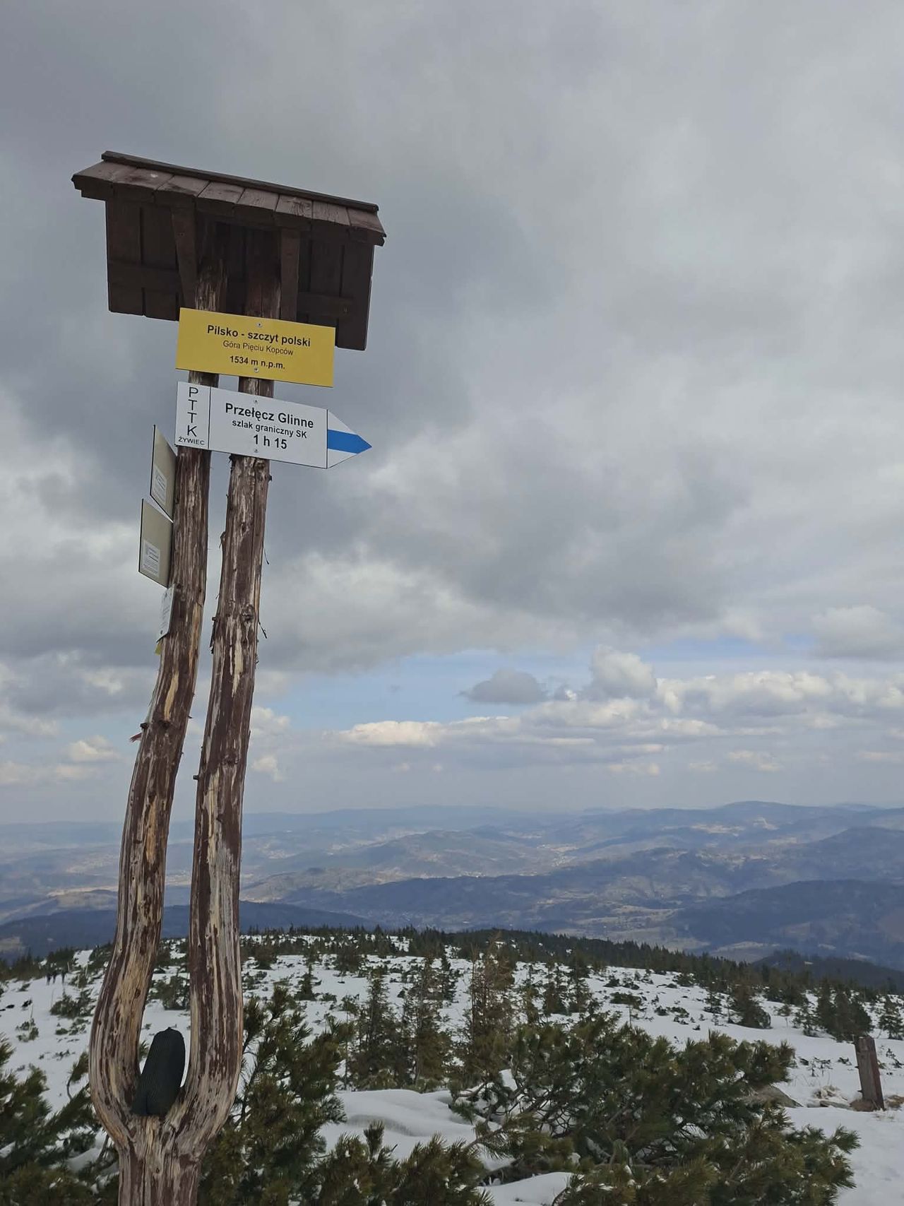 Barbara Hebenstreit-10