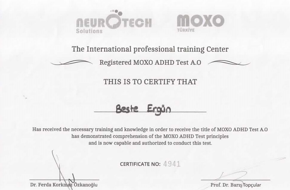 Beste Ergün Özel-19