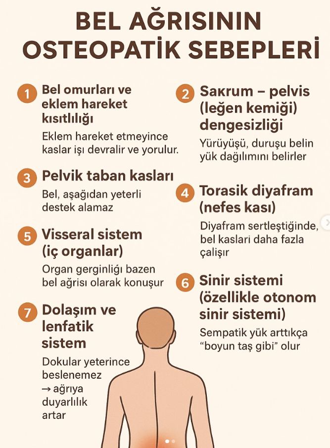 Dicle Karatepe-3