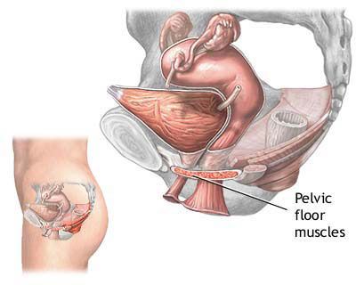 Maria Josefa Martinez Payá-3
