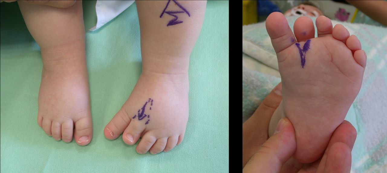 Giovanni Luigi Di Gennaro-15