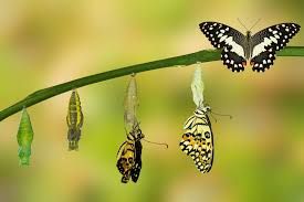 Nathalie Cuscinà-17