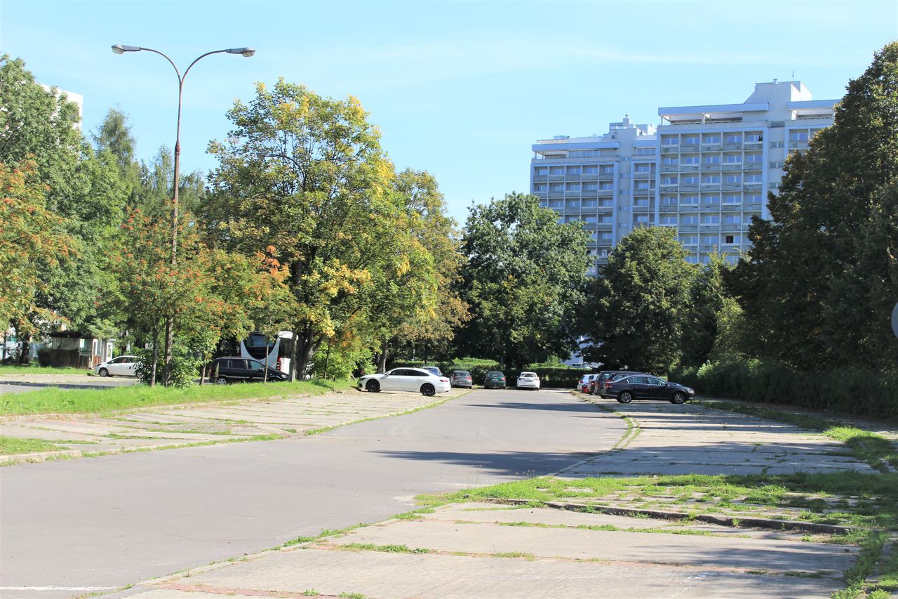 Katarzyna Lubaszewska-5