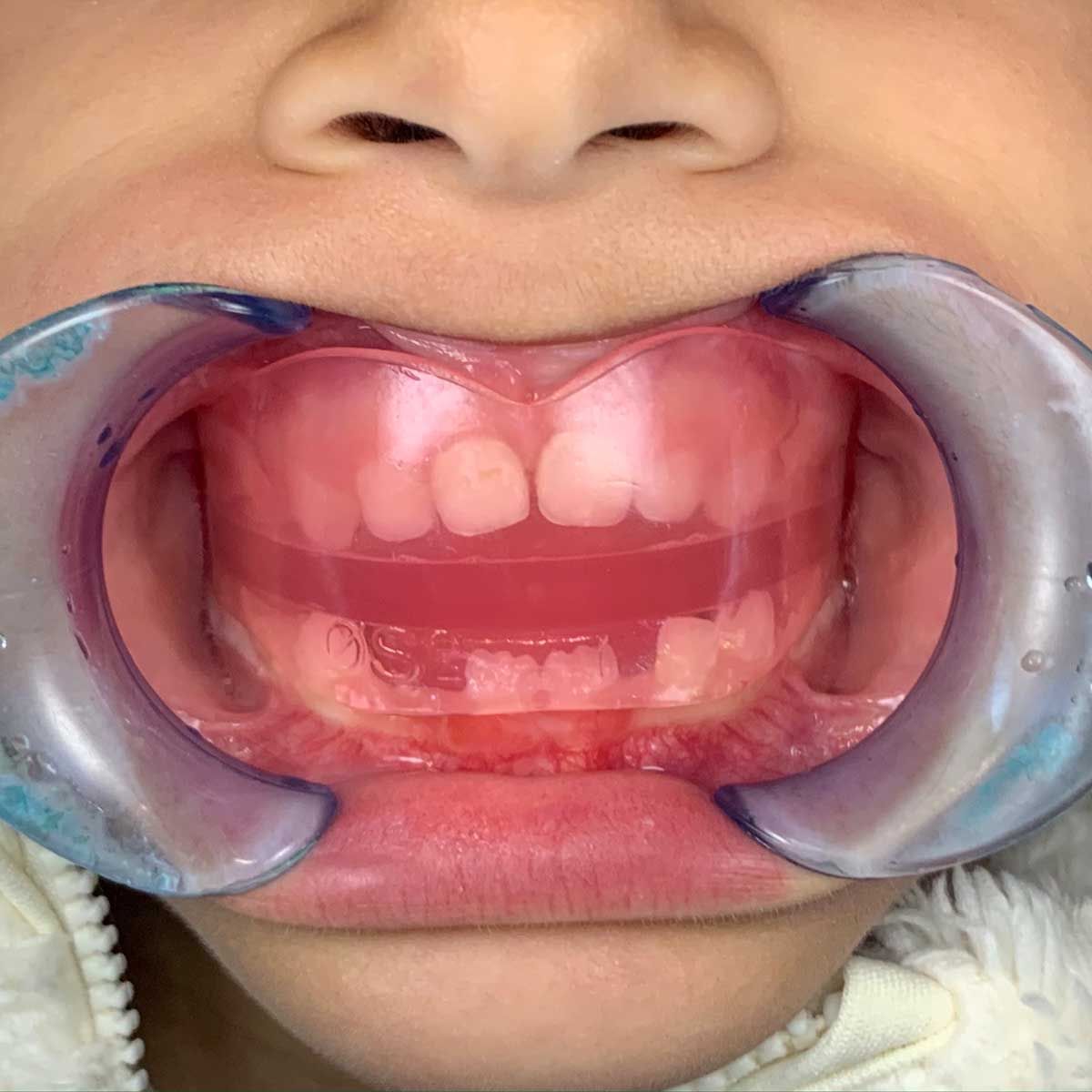 Gianluigi Bittante-8