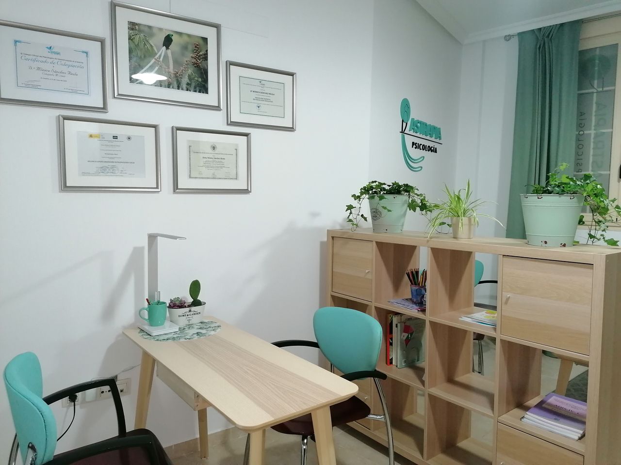 Mónica Sánchez Reula-5