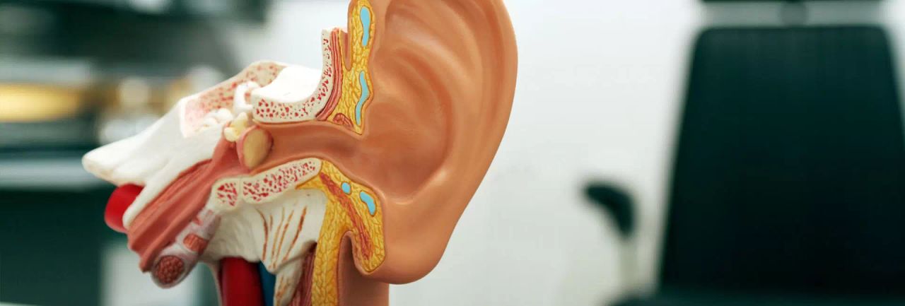 Domenico Leonardo Grasso-0