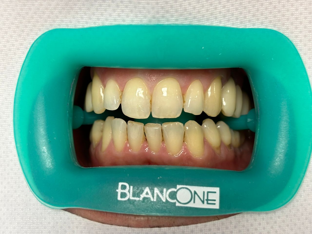 Francesca Muggiano-27