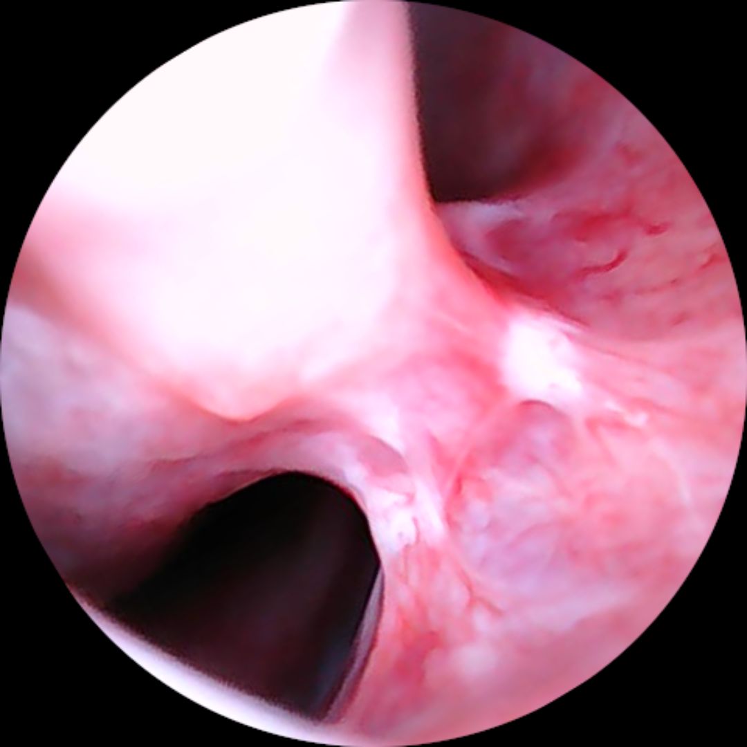 José María Santos Corchero-4