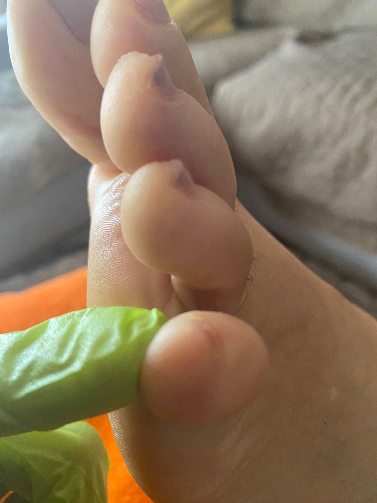 Kassandra Nicolosi-164