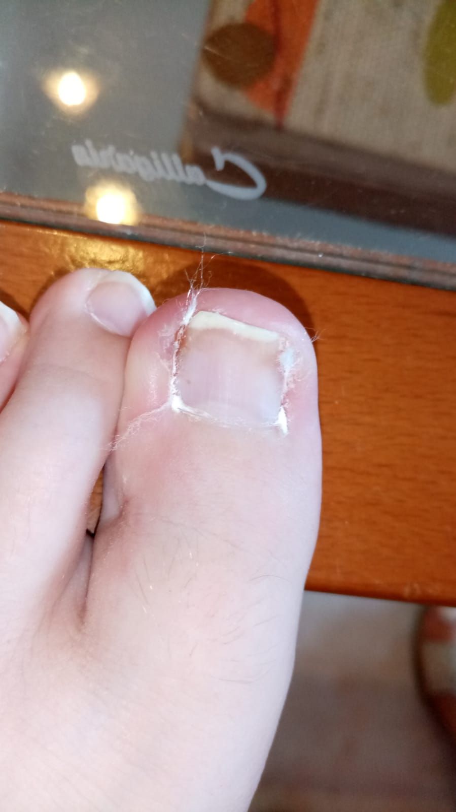 Kassandra Nicolosi-214