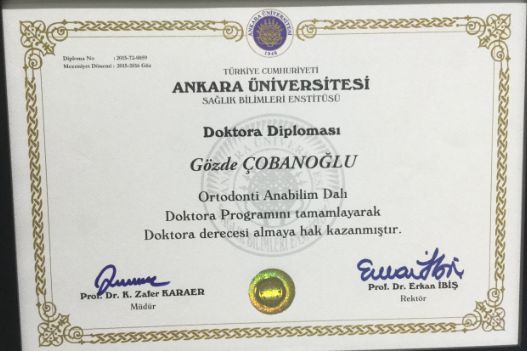 Gözde Çobanoğlu-22