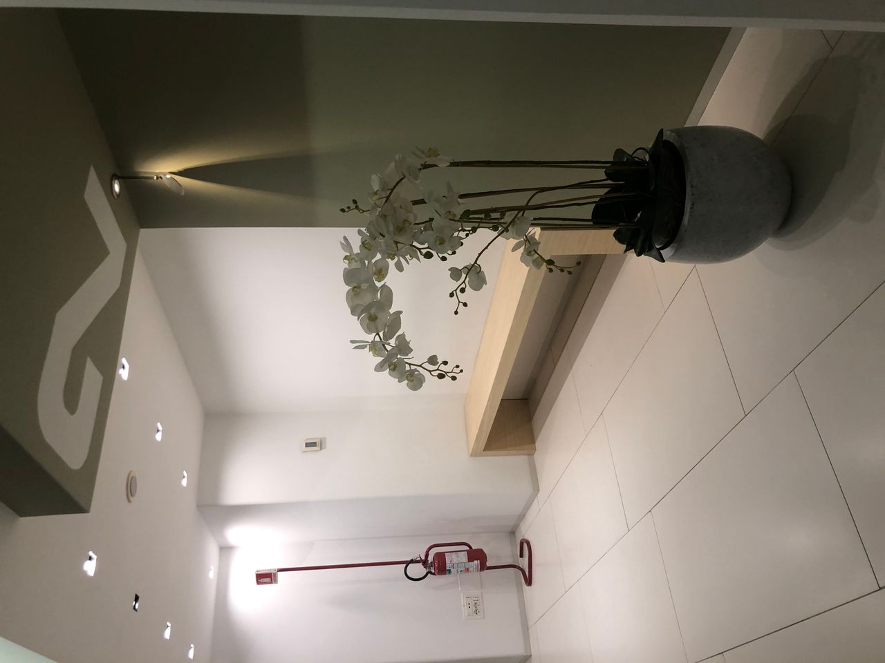 Francesco Rainieri-3