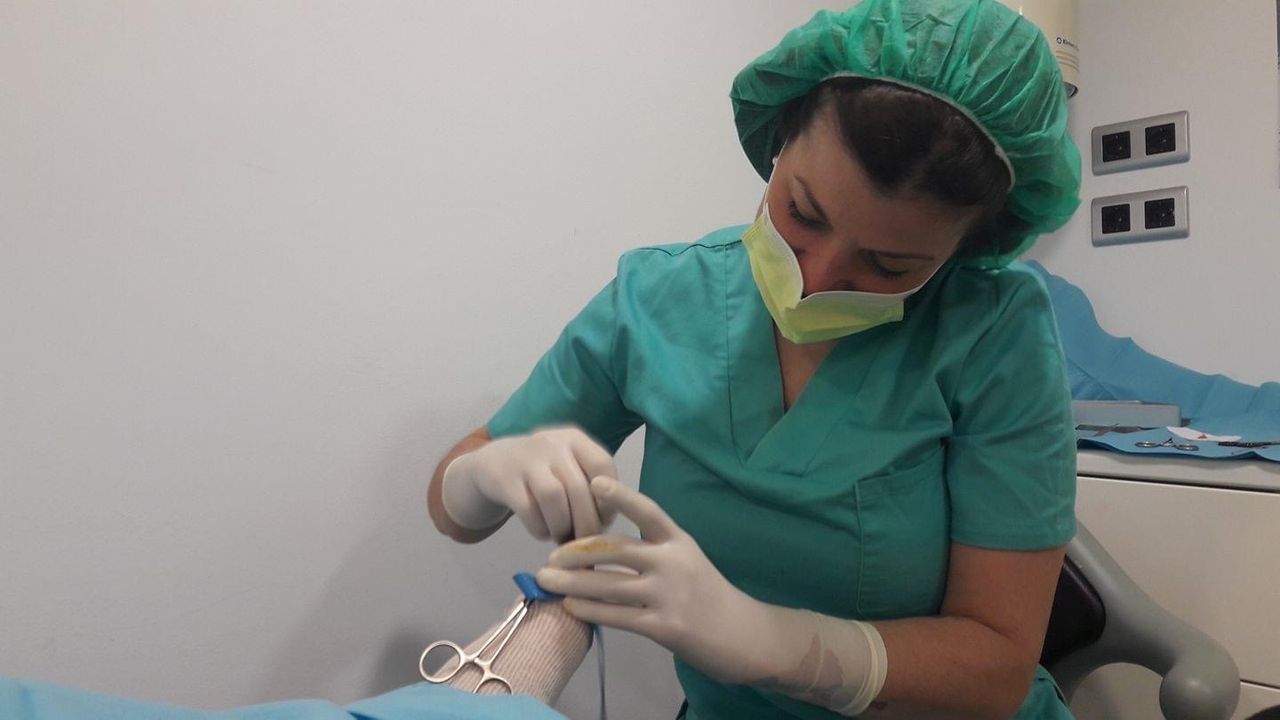 Laura Ortolá Esteve-16