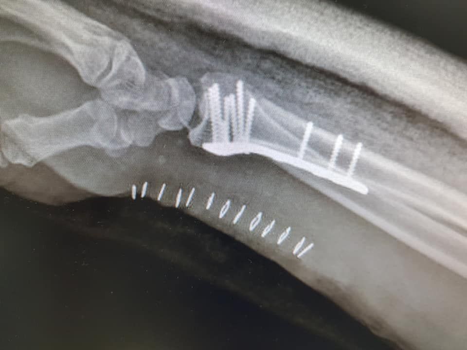 Javier Romero Fernández-6