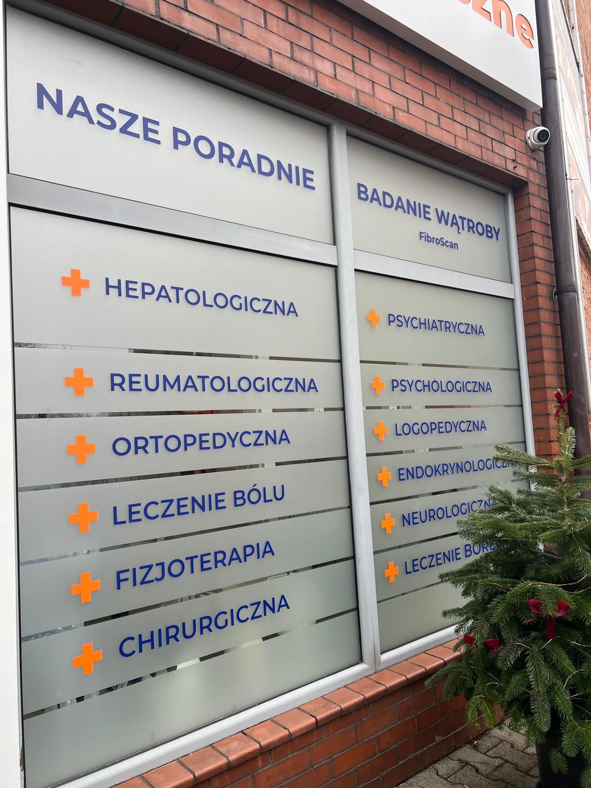 Aleksandra Pędziwiatr-2