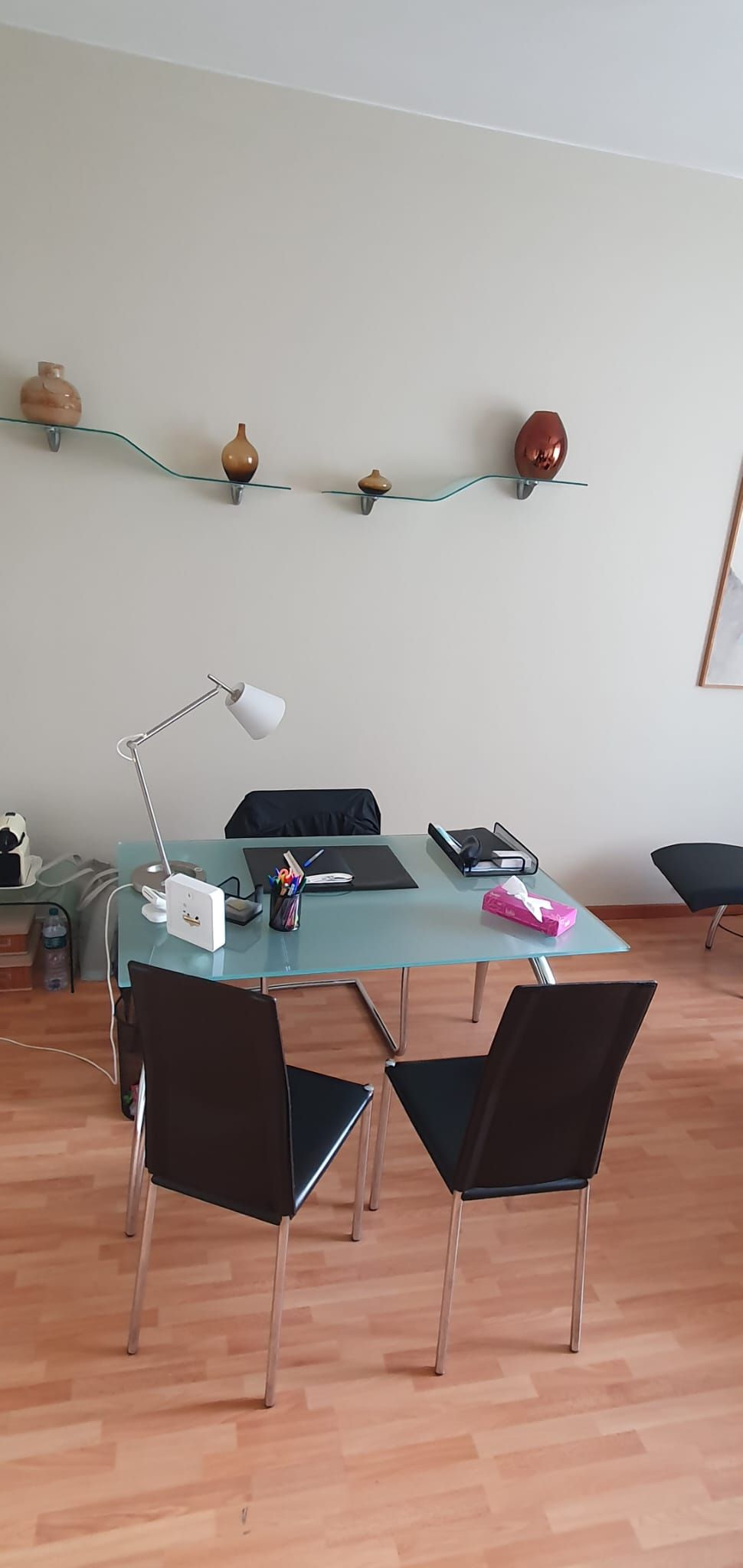 Fabiana Villanelli-0