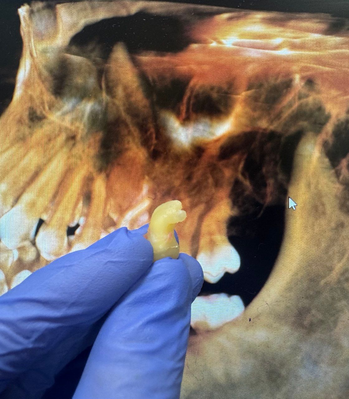 Valiantsina Uhlianitsa-4