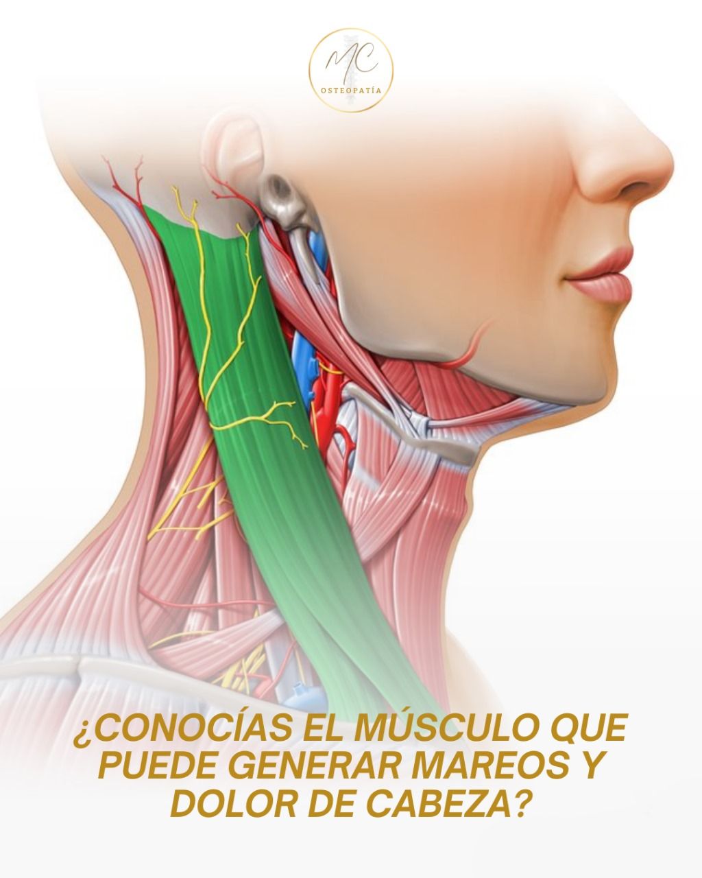 Matías Elvis Cáceres-13