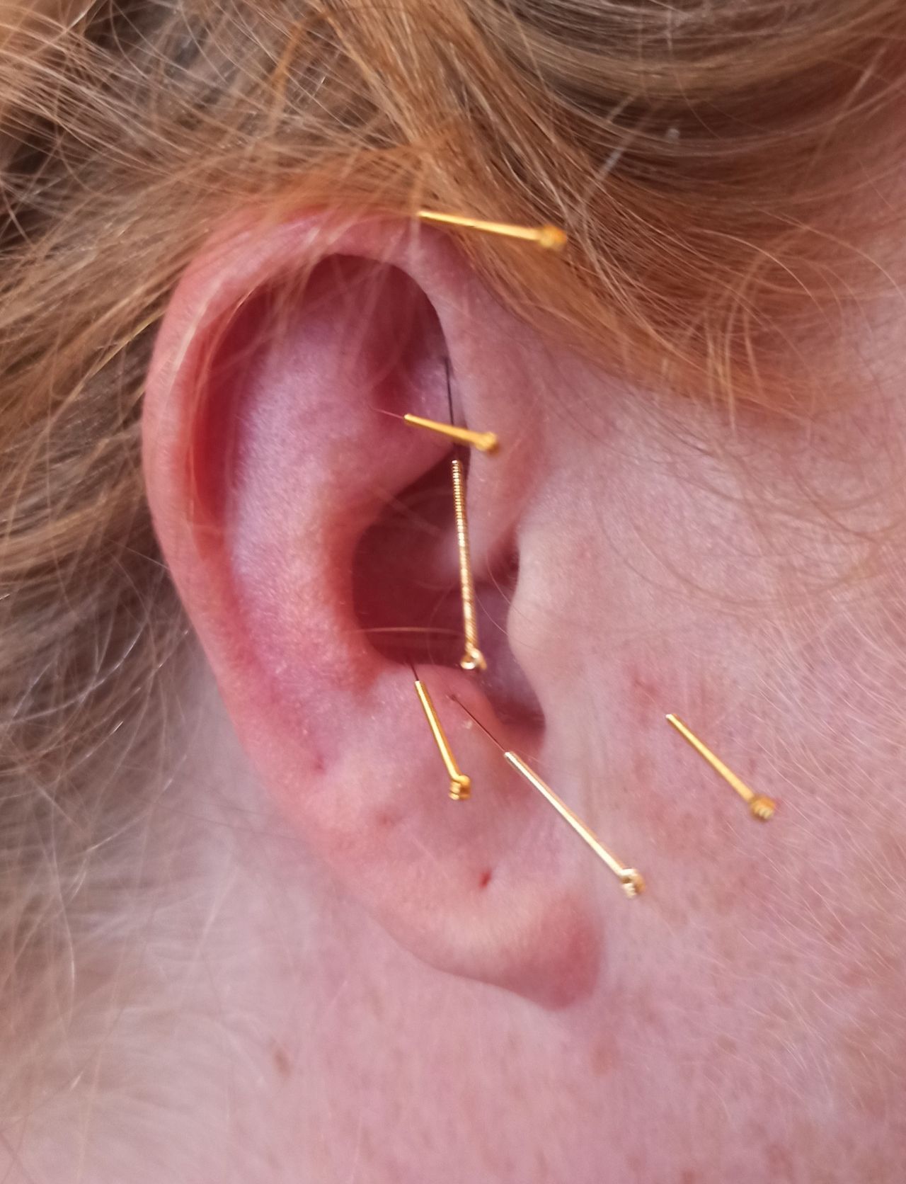 Claudia Raderschatt-3