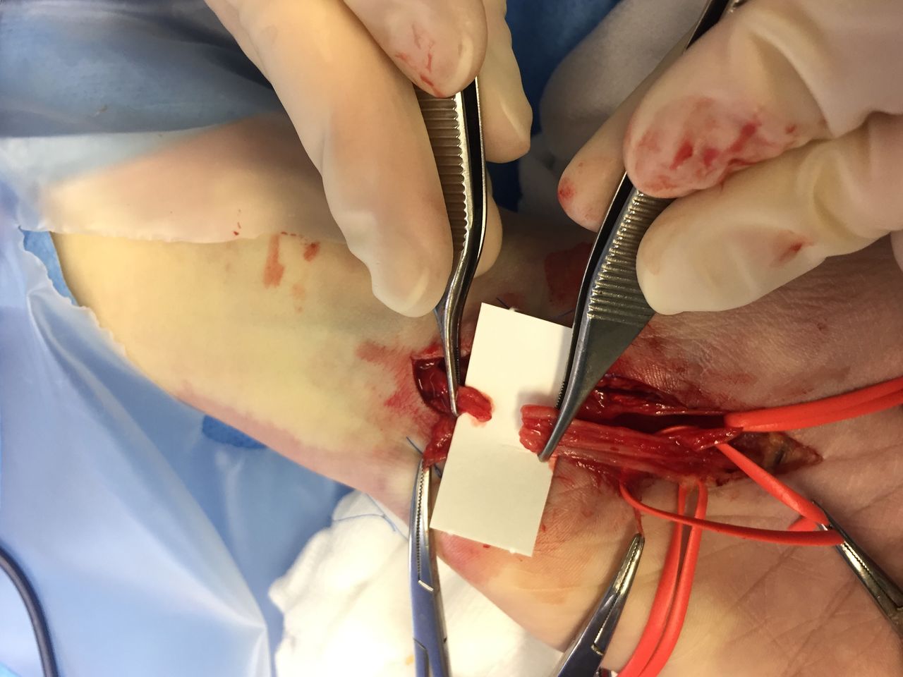 Giampaolo Monacelli-8