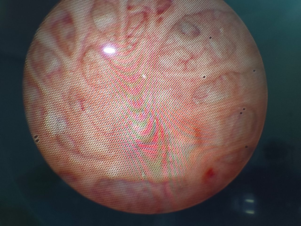 Francisco Gutiérrez Tejero-2