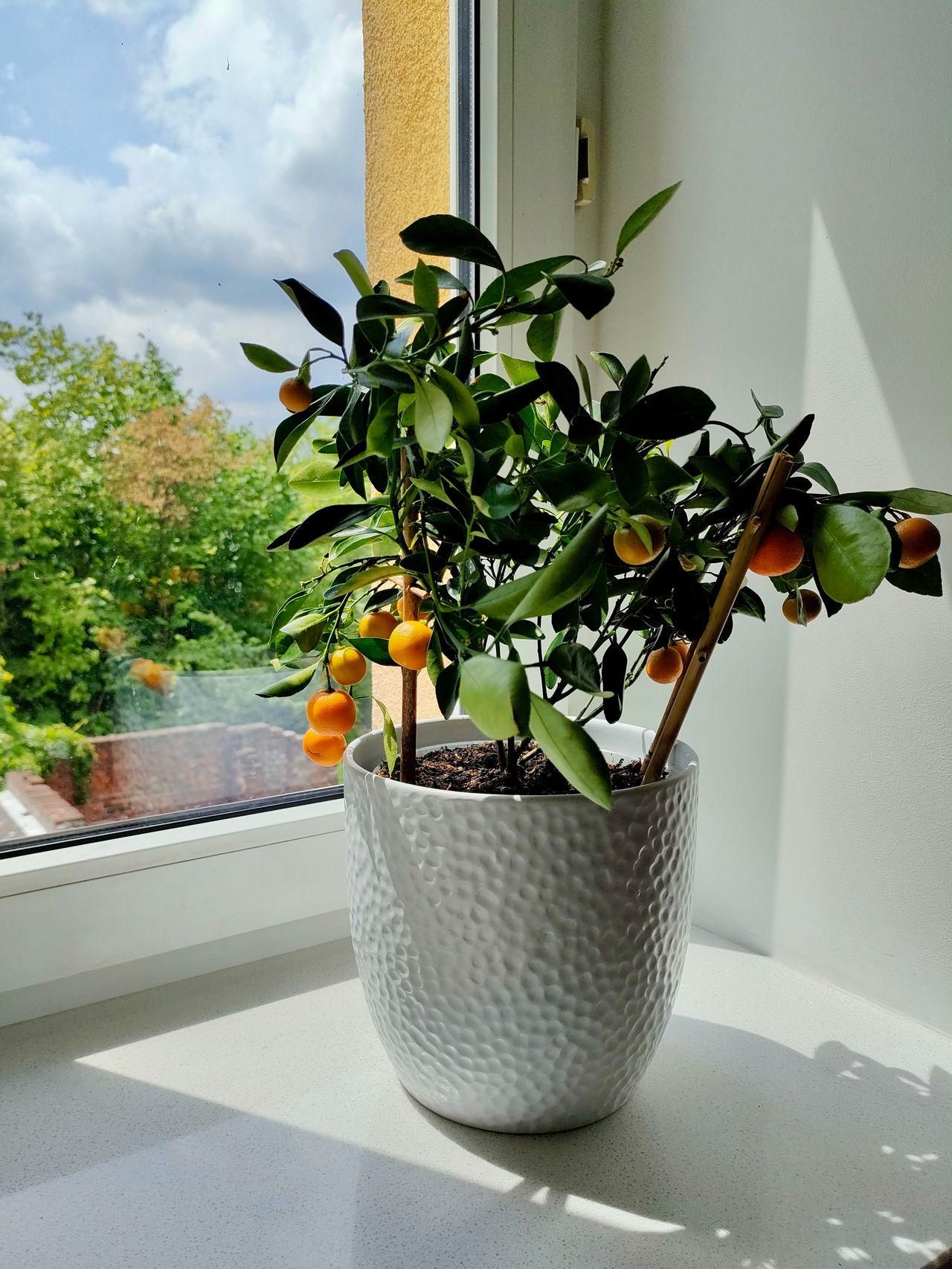 Katarzyna Jarząbek-2