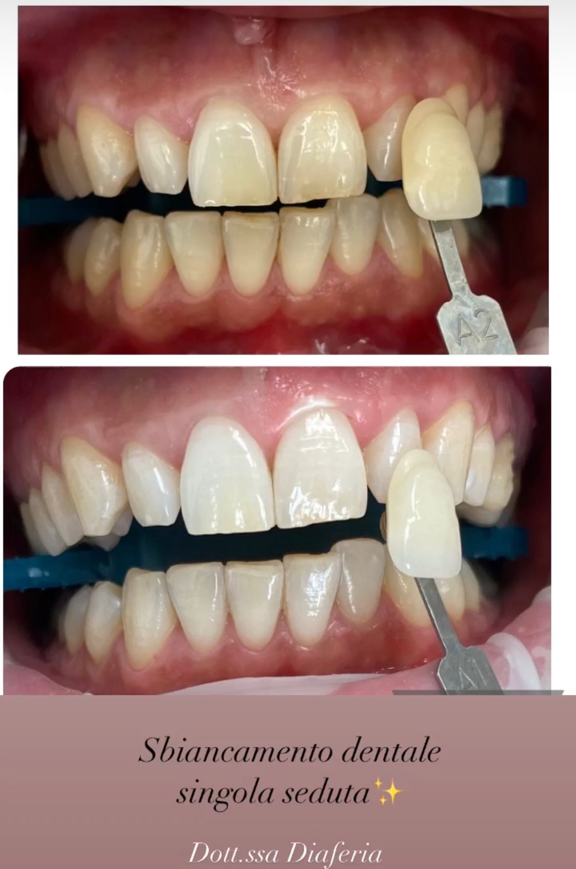 Maria Grazia Diaferia-43