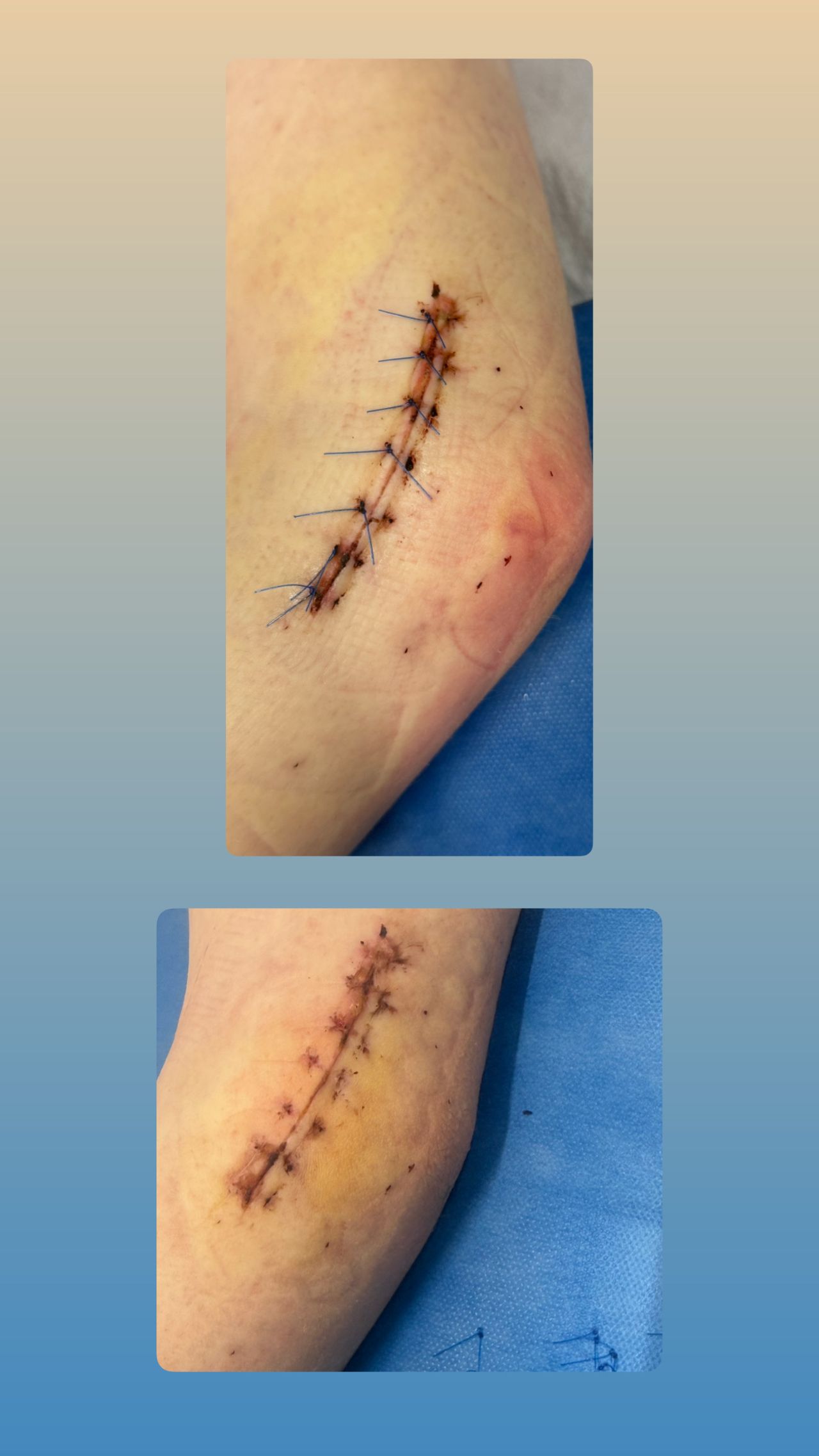 Weronika Joanna Kalamarska-8