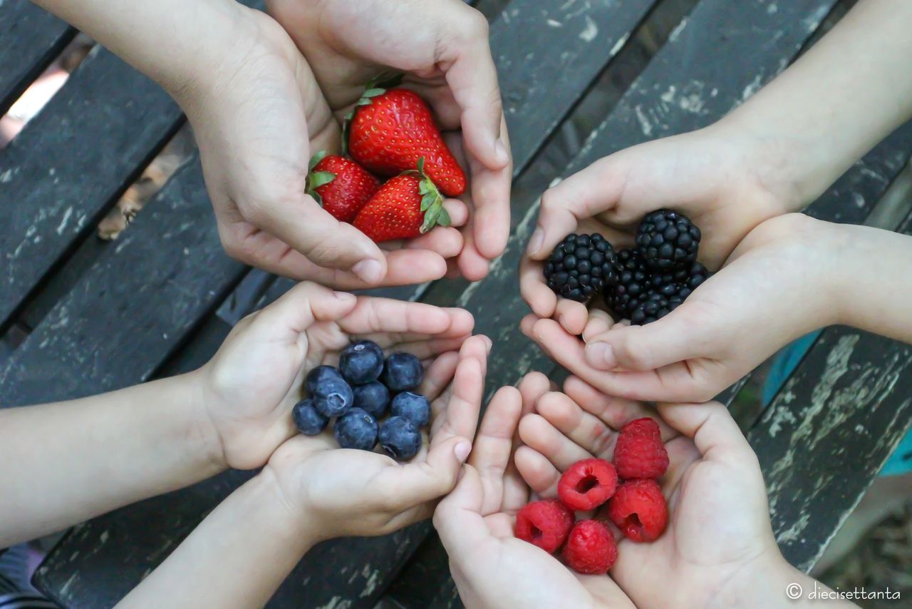 Victoria Maresca Bertucci-8