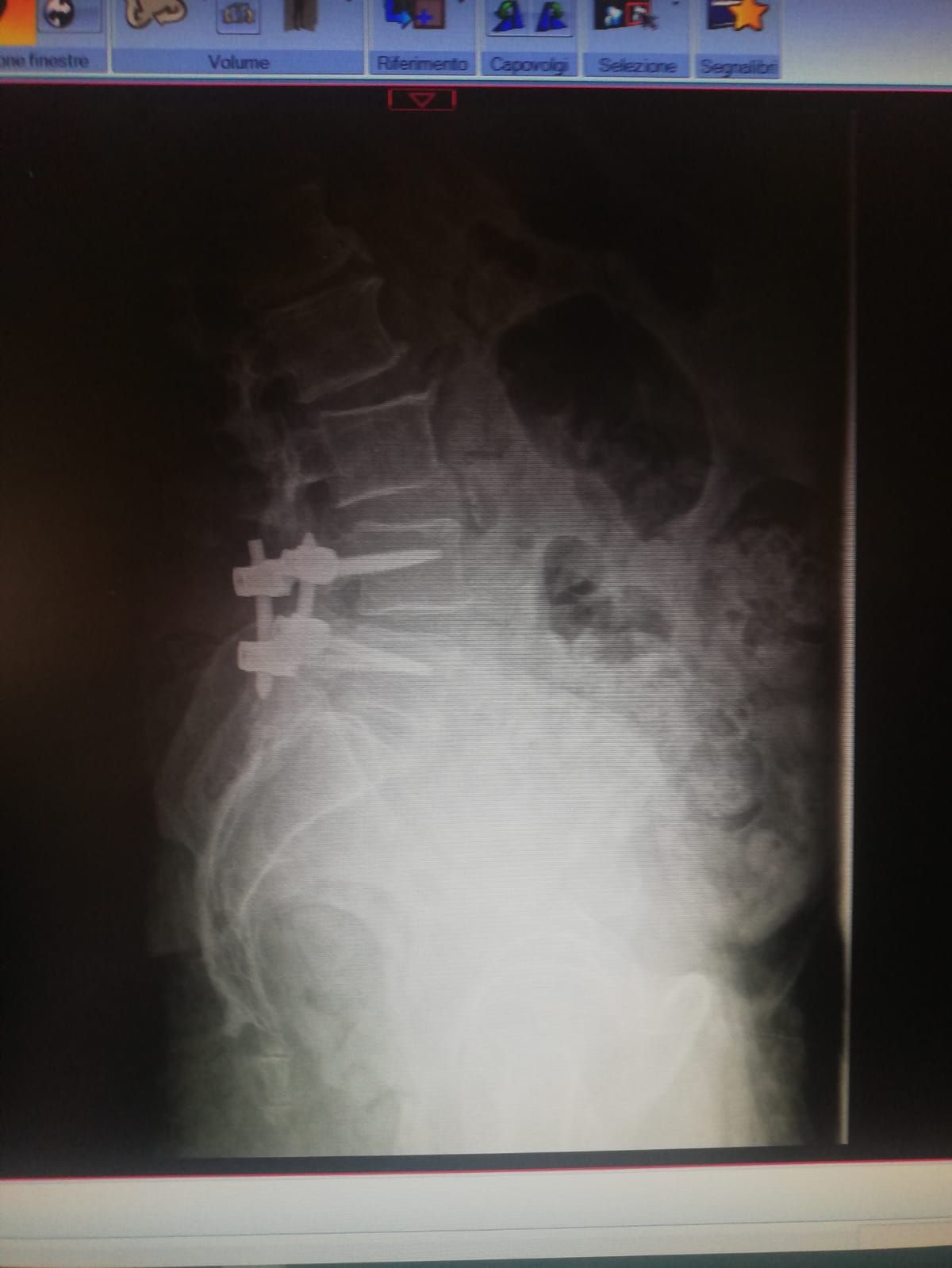 Alessandro Rapisarda-7