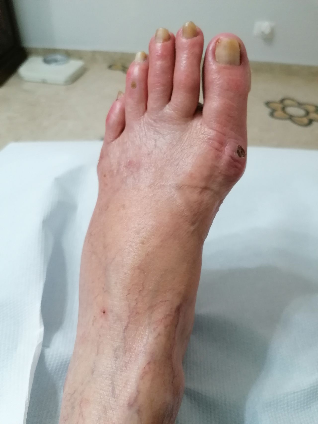 Kassandra Nicolosi-298