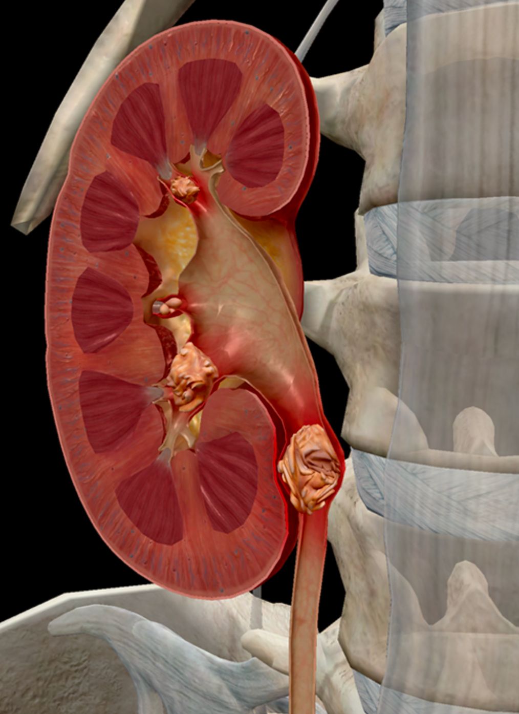 Luis Fernando Susaníbar Napurí-26