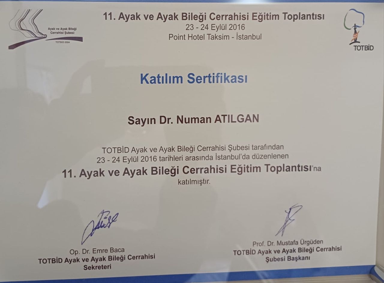 Numan Atılgan-10