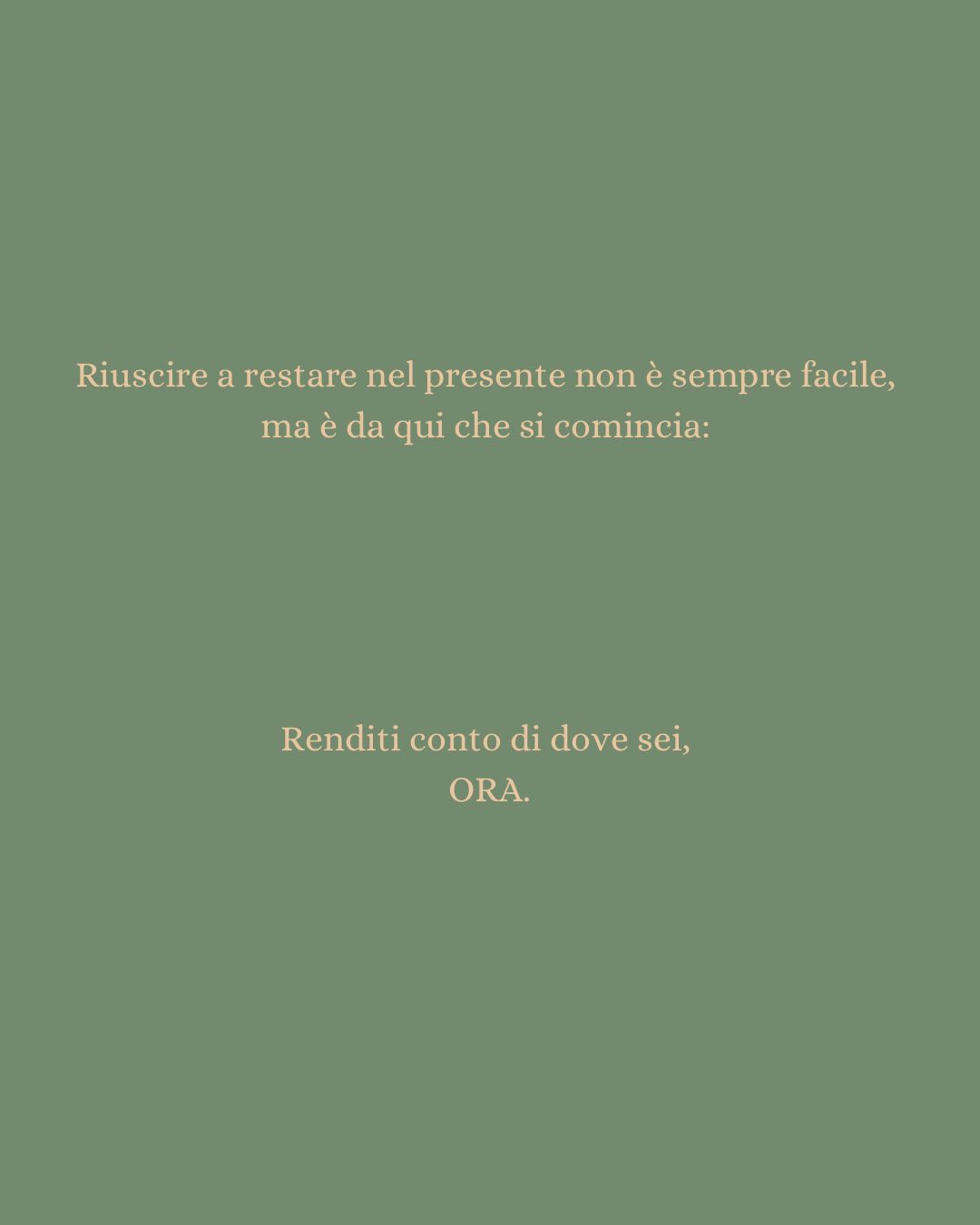 Virginia Vazzoler-17