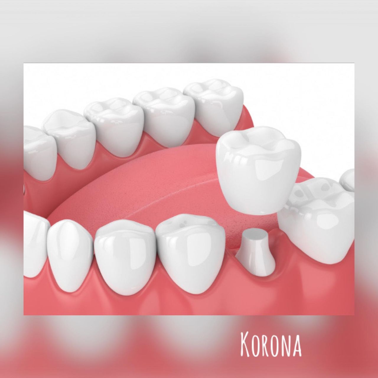 Karolina Anna Kownacka-3