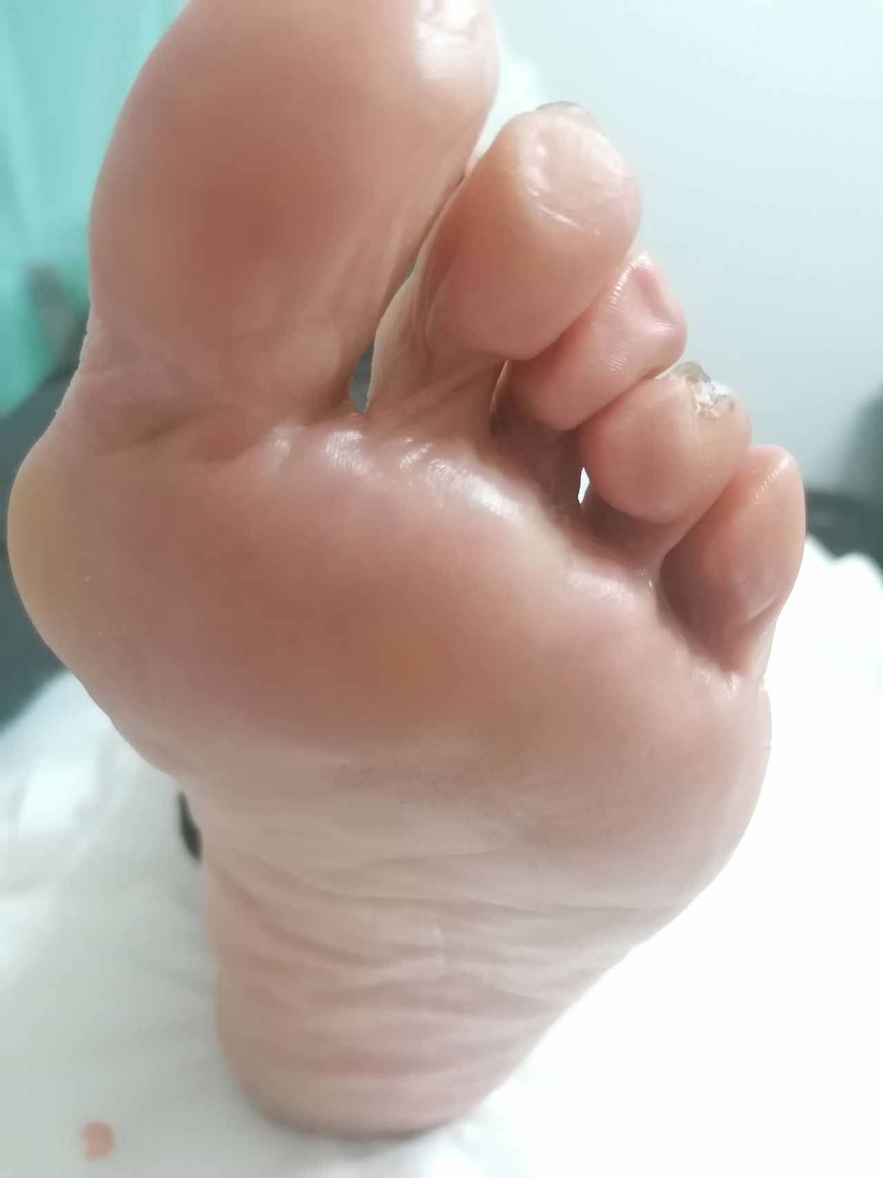 Kassandra Nicolosi-185