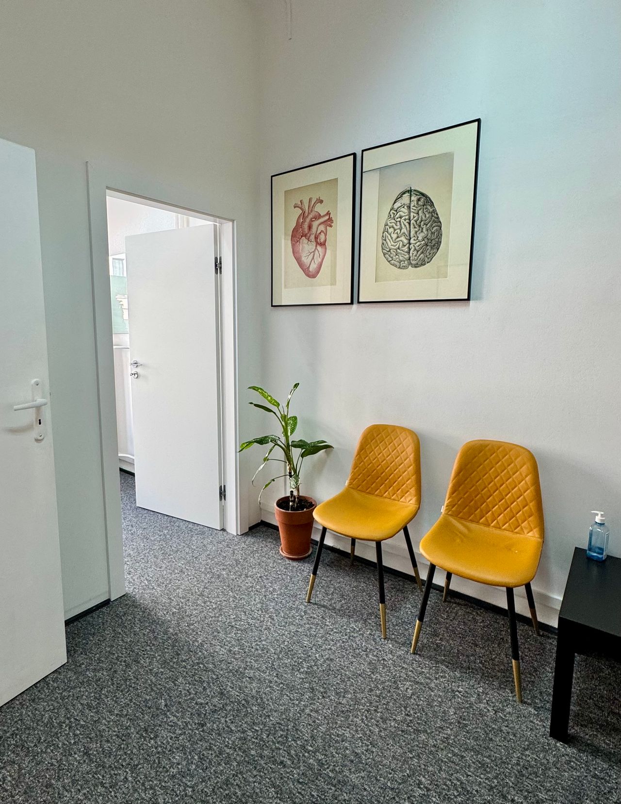 Katarzyna Niestoruk-0