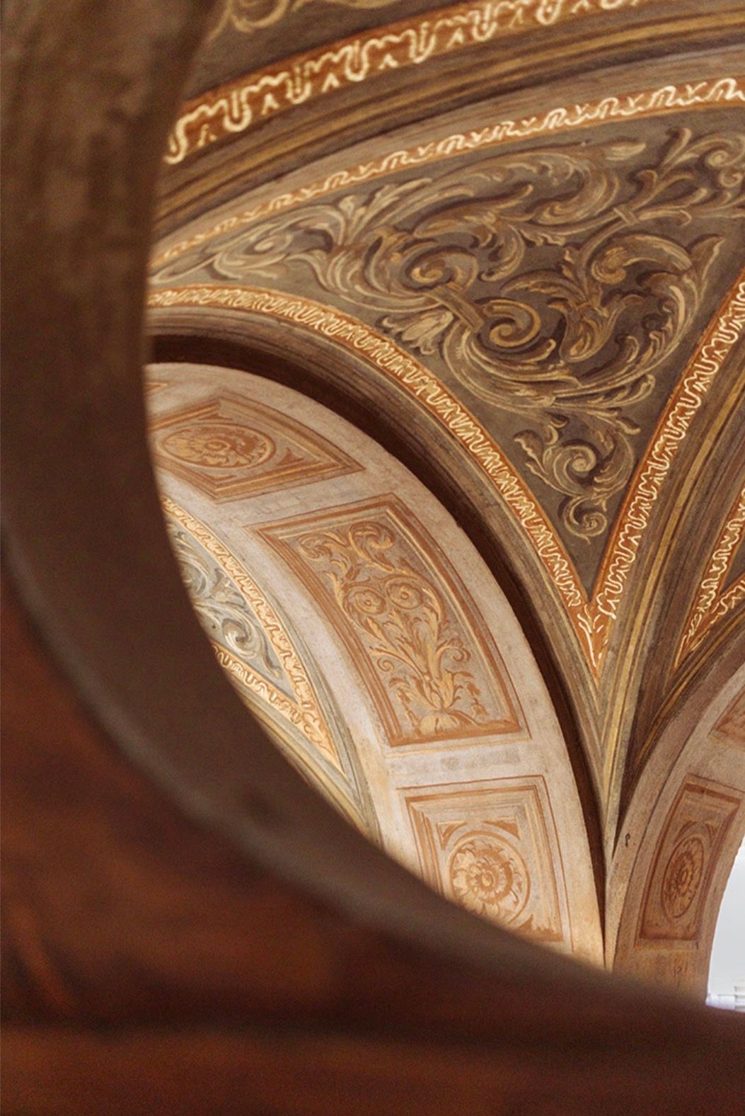 Irene Lucia Vanelli-15