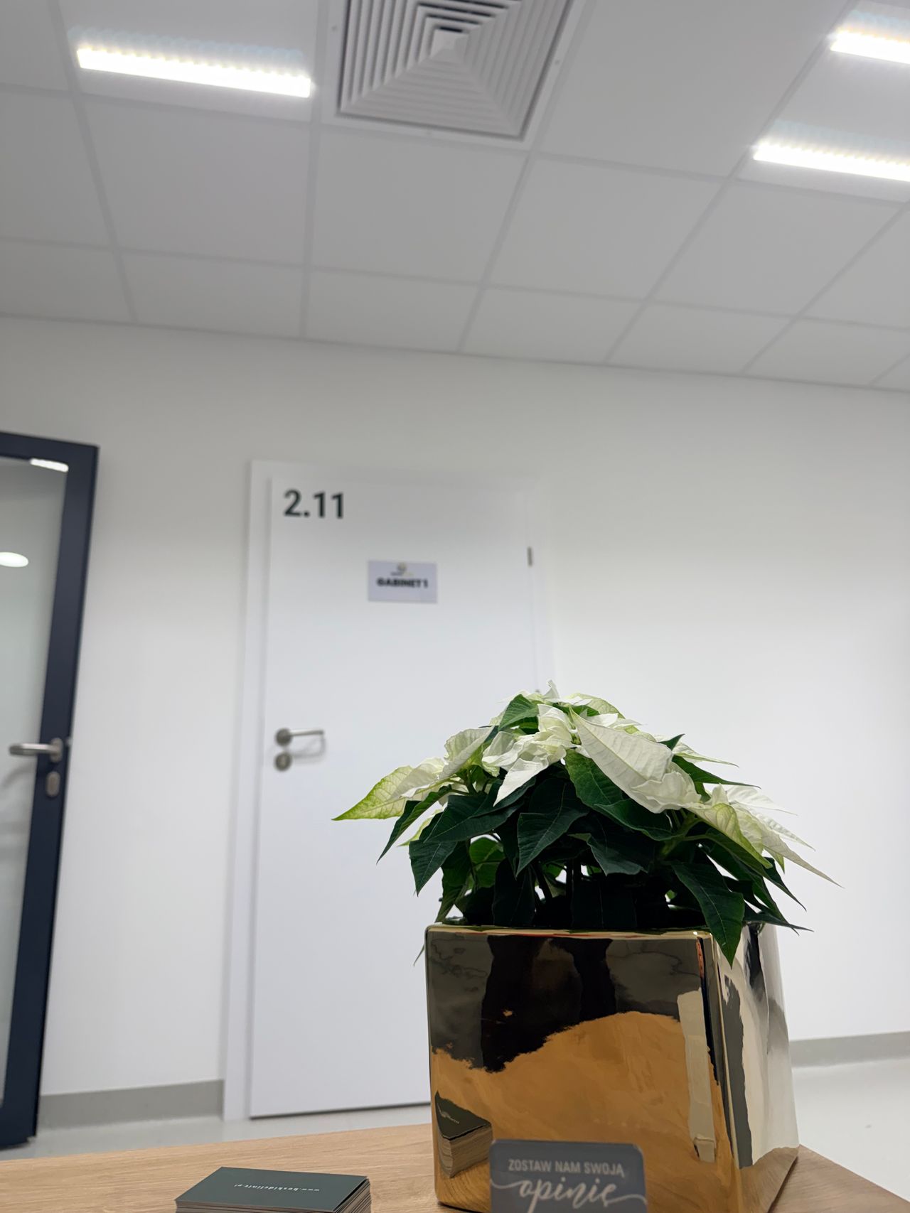 Aleksandra Grynkiewicz-2