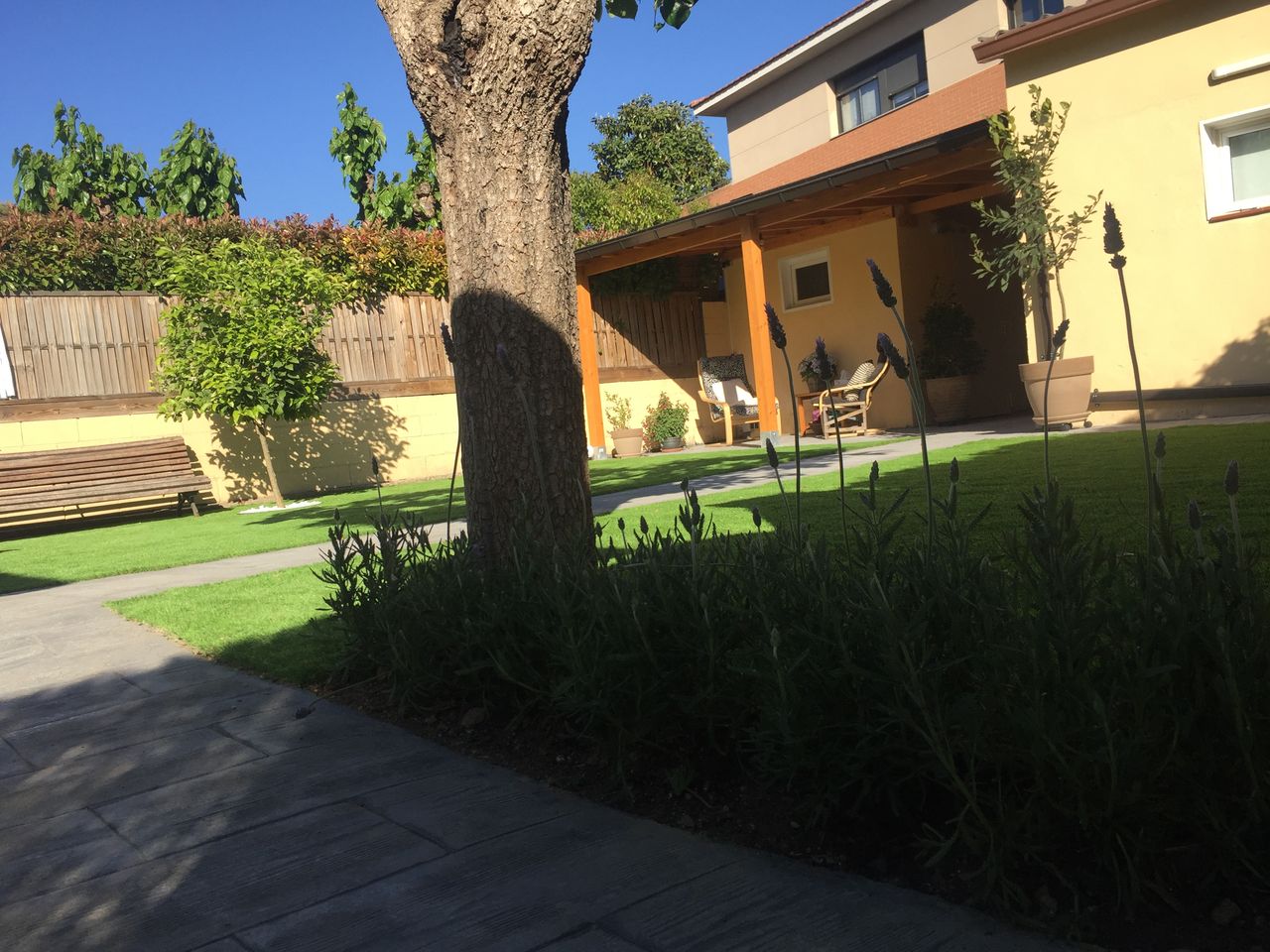 Elisabeth Martínez Calero-6