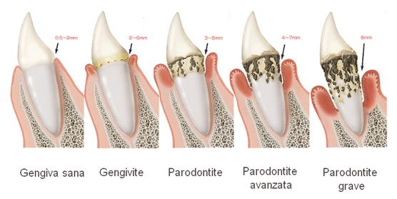 Catia Giovanna Giubelli-1