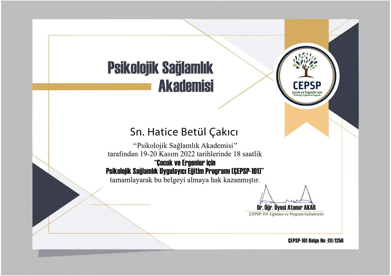 Hatice Betül Çakıcı-1