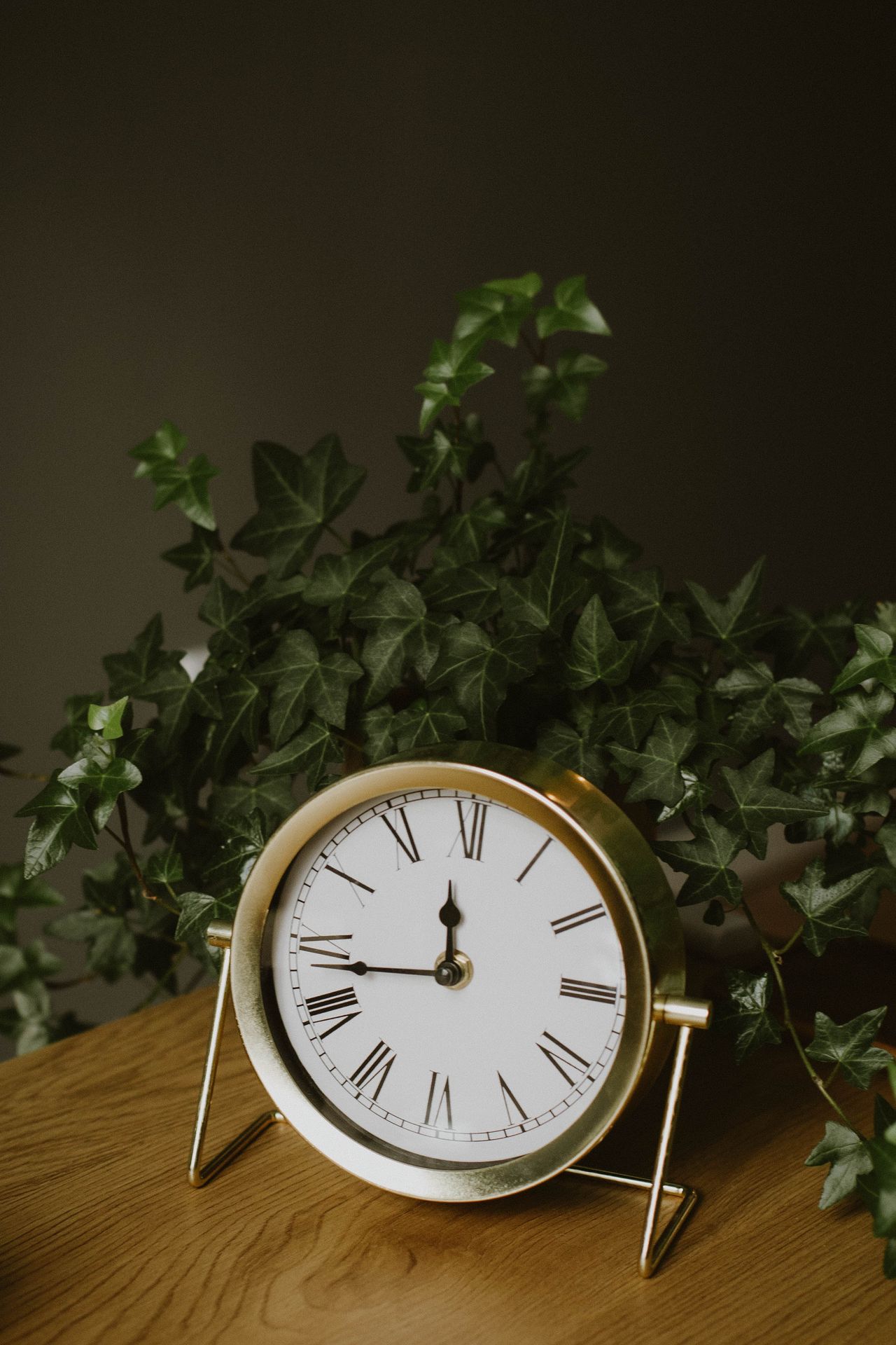 Wiktoria Fabiszewska-3